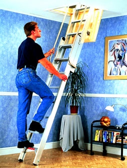 ladder