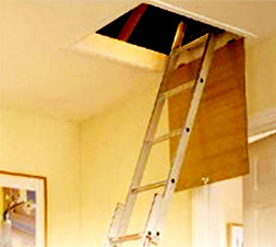 ladder