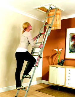 ladder