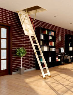 ladder